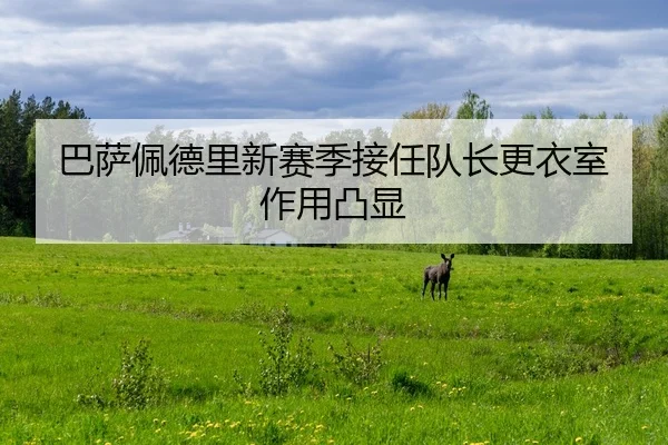 巴萨佩德里新赛季接任队长更衣室作用凸显