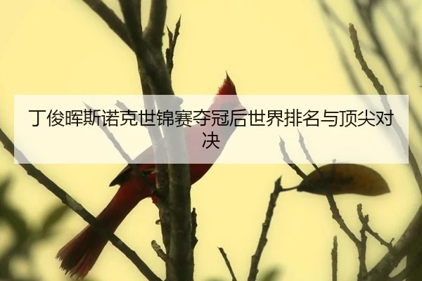 ding-jun-hui-si-nuo-ke-shi-jin-sai-duo-guan-hou-shi-jie-pai-ming-yu-ding-jian-dui-jue-3-892.jpg